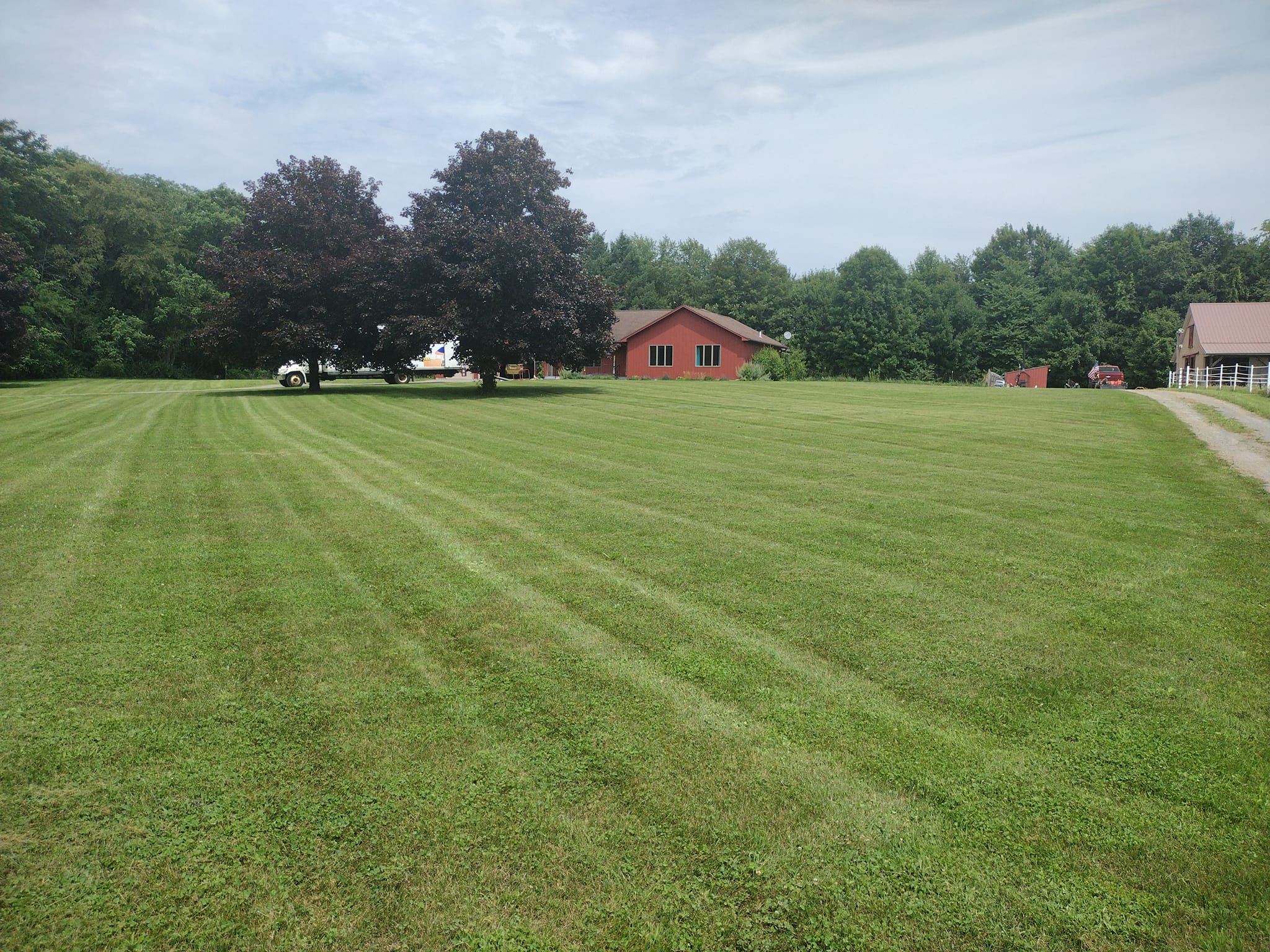 Lawn Mowing